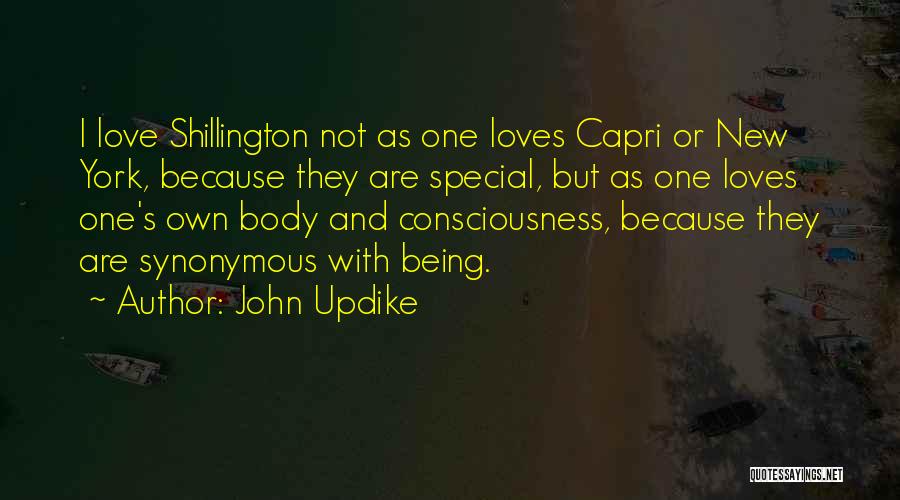 John Updike Quotes: I Love Shillington Not As One Loves Capri Or New York, Because They Are Special, But As One Loves One's