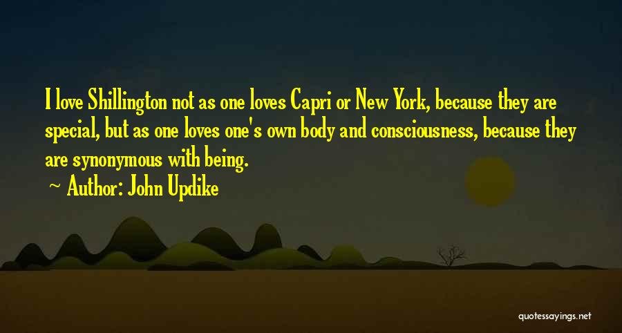 John Updike Quotes: I Love Shillington Not As One Loves Capri Or New York, Because They Are Special, But As One Loves One's