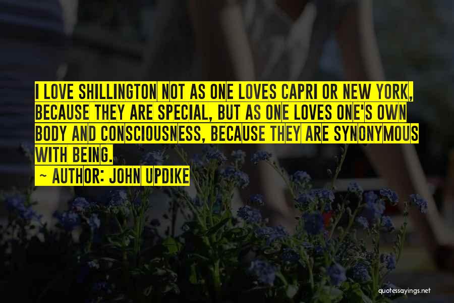 John Updike Quotes: I Love Shillington Not As One Loves Capri Or New York, Because They Are Special, But As One Loves One's