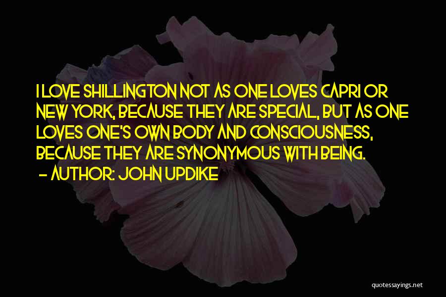 John Updike Quotes: I Love Shillington Not As One Loves Capri Or New York, Because They Are Special, But As One Loves One's