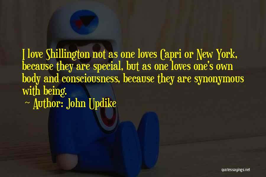 John Updike Quotes: I Love Shillington Not As One Loves Capri Or New York, Because They Are Special, But As One Loves One's