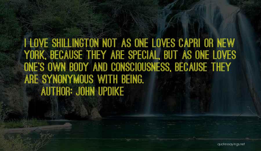 John Updike Quotes: I Love Shillington Not As One Loves Capri Or New York, Because They Are Special, But As One Loves One's