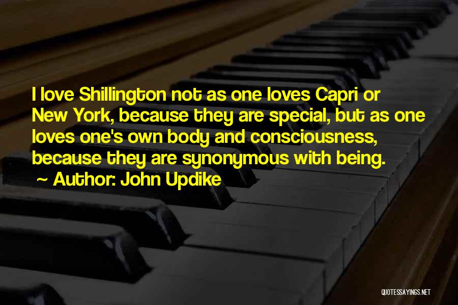 John Updike Quotes: I Love Shillington Not As One Loves Capri Or New York, Because They Are Special, But As One Loves One's