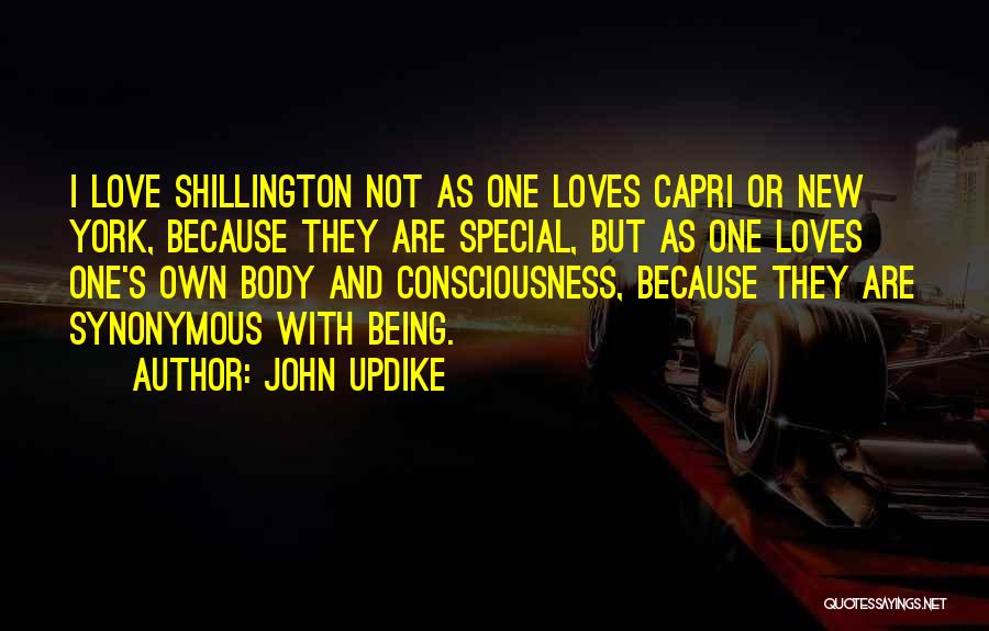 John Updike Quotes: I Love Shillington Not As One Loves Capri Or New York, Because They Are Special, But As One Loves One's