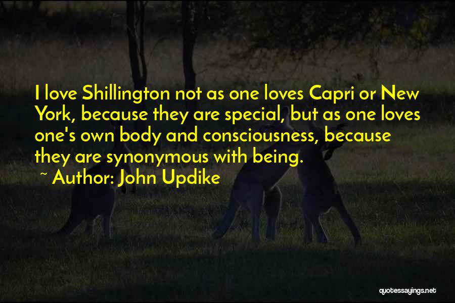 John Updike Quotes: I Love Shillington Not As One Loves Capri Or New York, Because They Are Special, But As One Loves One's