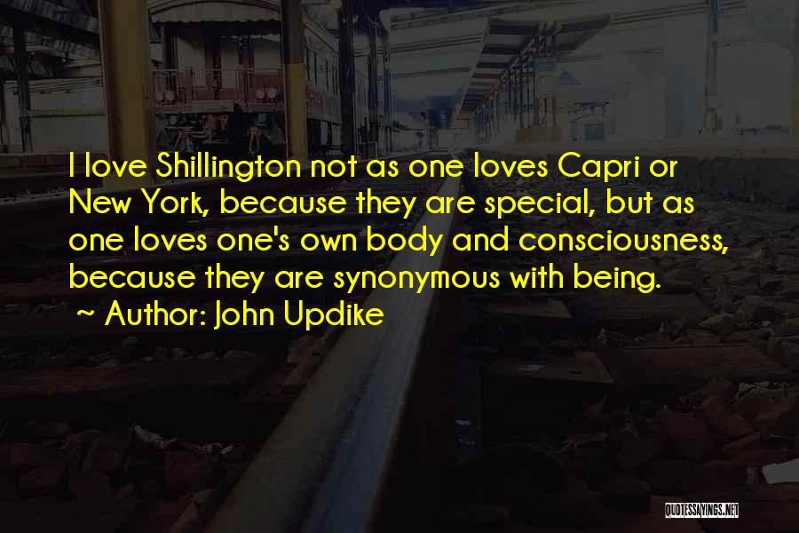 John Updike Quotes: I Love Shillington Not As One Loves Capri Or New York, Because They Are Special, But As One Loves One's