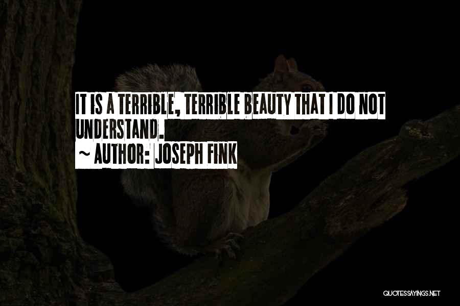 Joseph Fink Quotes: It Is A Terrible, Terrible Beauty That I Do Not Understand.