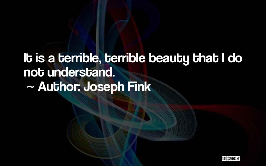 Joseph Fink Quotes: It Is A Terrible, Terrible Beauty That I Do Not Understand.