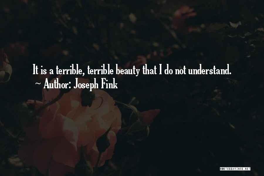 Joseph Fink Quotes: It Is A Terrible, Terrible Beauty That I Do Not Understand.