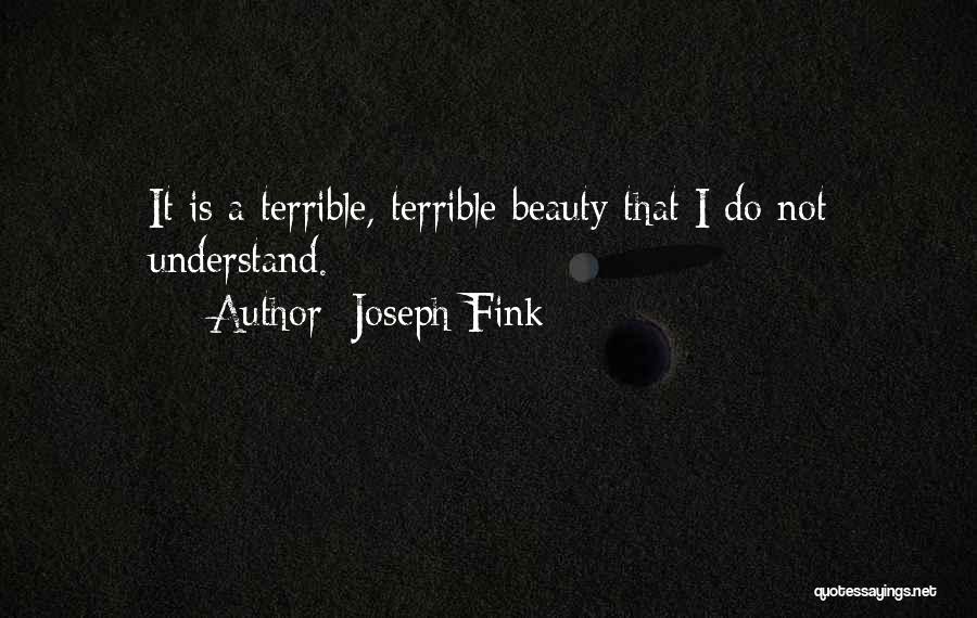 Joseph Fink Quotes: It Is A Terrible, Terrible Beauty That I Do Not Understand.