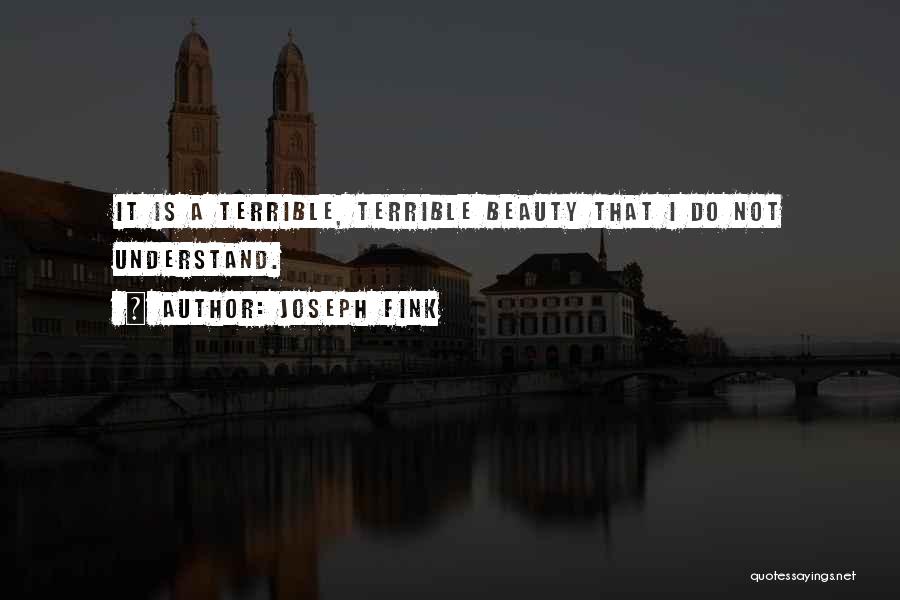 Joseph Fink Quotes: It Is A Terrible, Terrible Beauty That I Do Not Understand.