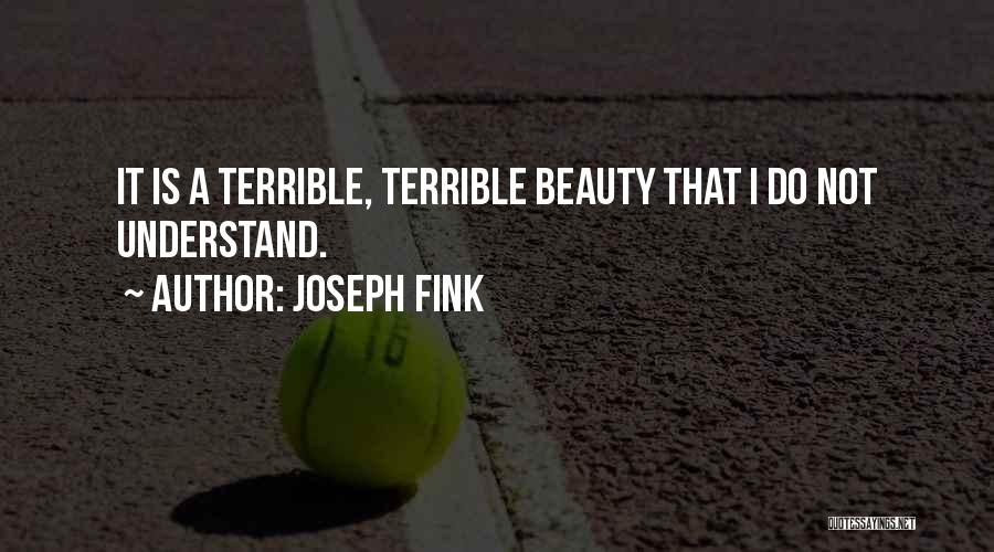 Joseph Fink Quotes: It Is A Terrible, Terrible Beauty That I Do Not Understand.