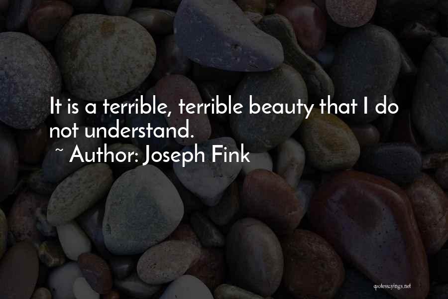 Joseph Fink Quotes: It Is A Terrible, Terrible Beauty That I Do Not Understand.