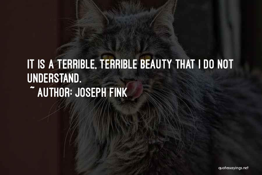 Joseph Fink Quotes: It Is A Terrible, Terrible Beauty That I Do Not Understand.