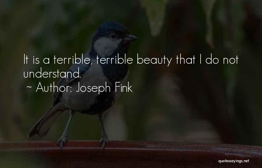 Joseph Fink Quotes: It Is A Terrible, Terrible Beauty That I Do Not Understand.