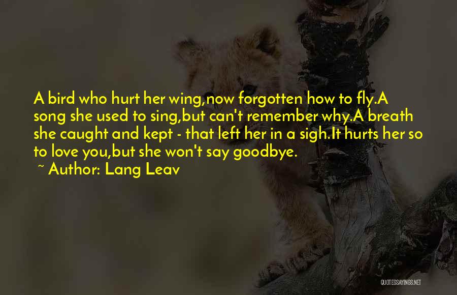 Lang Leav Quotes: A Bird Who Hurt Her Wing,now Forgotten How To Fly.a Song She Used To Sing,but Can't Remember Why.a Breath She