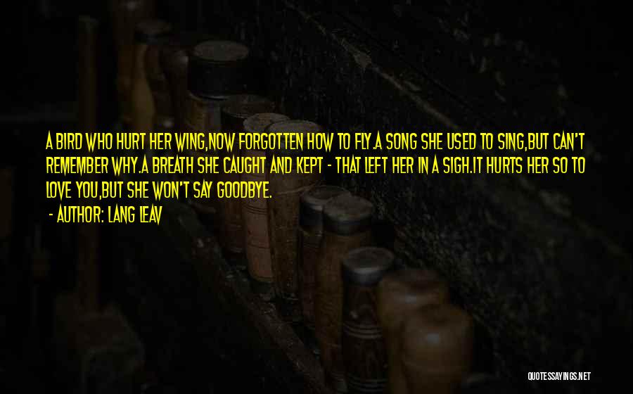 Lang Leav Quotes: A Bird Who Hurt Her Wing,now Forgotten How To Fly.a Song She Used To Sing,but Can't Remember Why.a Breath She