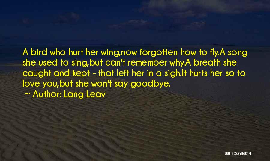 Lang Leav Quotes: A Bird Who Hurt Her Wing,now Forgotten How To Fly.a Song She Used To Sing,but Can't Remember Why.a Breath She