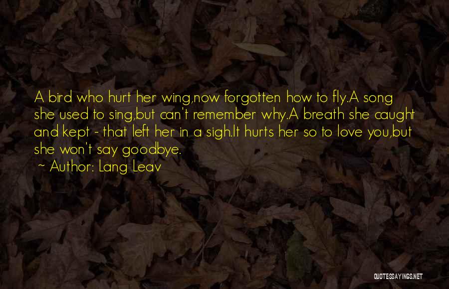 Lang Leav Quotes: A Bird Who Hurt Her Wing,now Forgotten How To Fly.a Song She Used To Sing,but Can't Remember Why.a Breath She