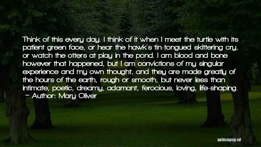 Mary Oliver Quotes: Think Of This Every Day. I Think Of It When I Meet The Turtle With Its Patient Green Face, Or