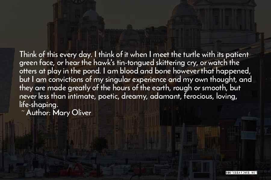 Mary Oliver Quotes: Think Of This Every Day. I Think Of It When I Meet The Turtle With Its Patient Green Face, Or