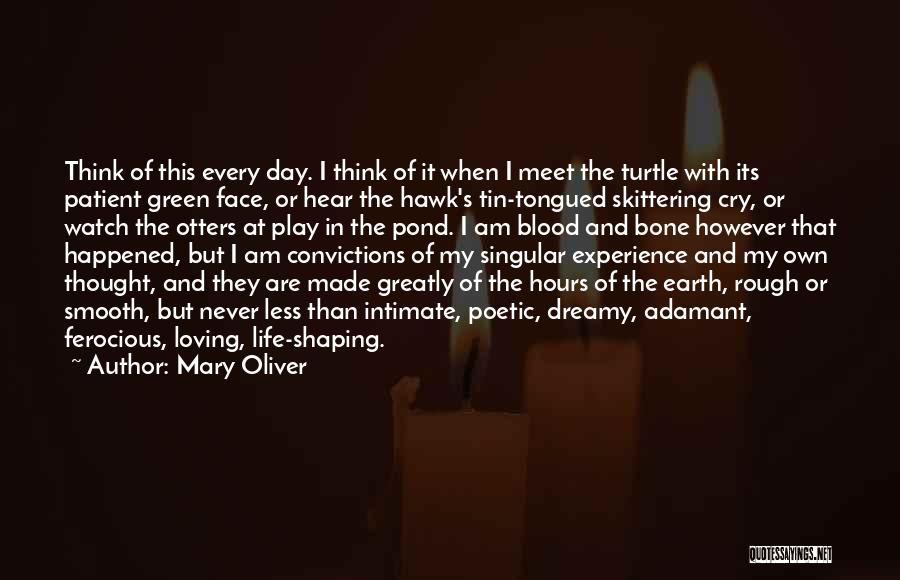 Mary Oliver Quotes: Think Of This Every Day. I Think Of It When I Meet The Turtle With Its Patient Green Face, Or