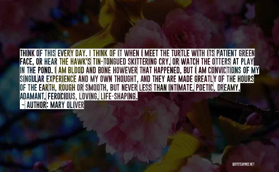 Mary Oliver Quotes: Think Of This Every Day. I Think Of It When I Meet The Turtle With Its Patient Green Face, Or