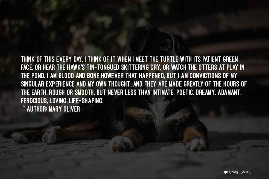 Mary Oliver Quotes: Think Of This Every Day. I Think Of It When I Meet The Turtle With Its Patient Green Face, Or