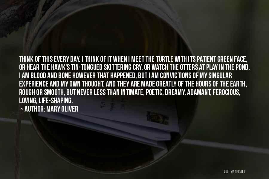 Mary Oliver Quotes: Think Of This Every Day. I Think Of It When I Meet The Turtle With Its Patient Green Face, Or