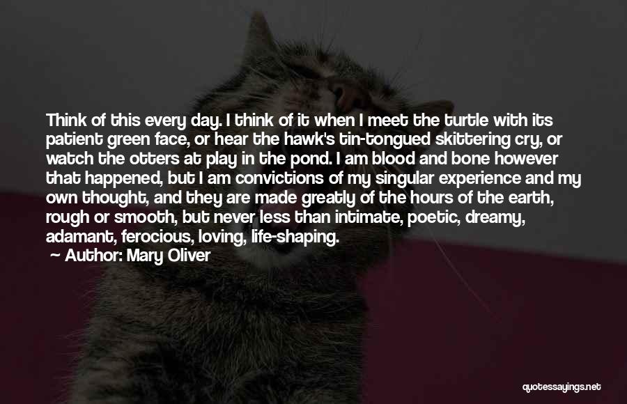 Mary Oliver Quotes: Think Of This Every Day. I Think Of It When I Meet The Turtle With Its Patient Green Face, Or
