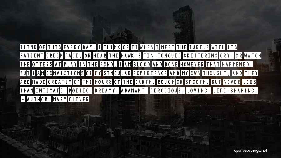 Mary Oliver Quotes: Think Of This Every Day. I Think Of It When I Meet The Turtle With Its Patient Green Face, Or
