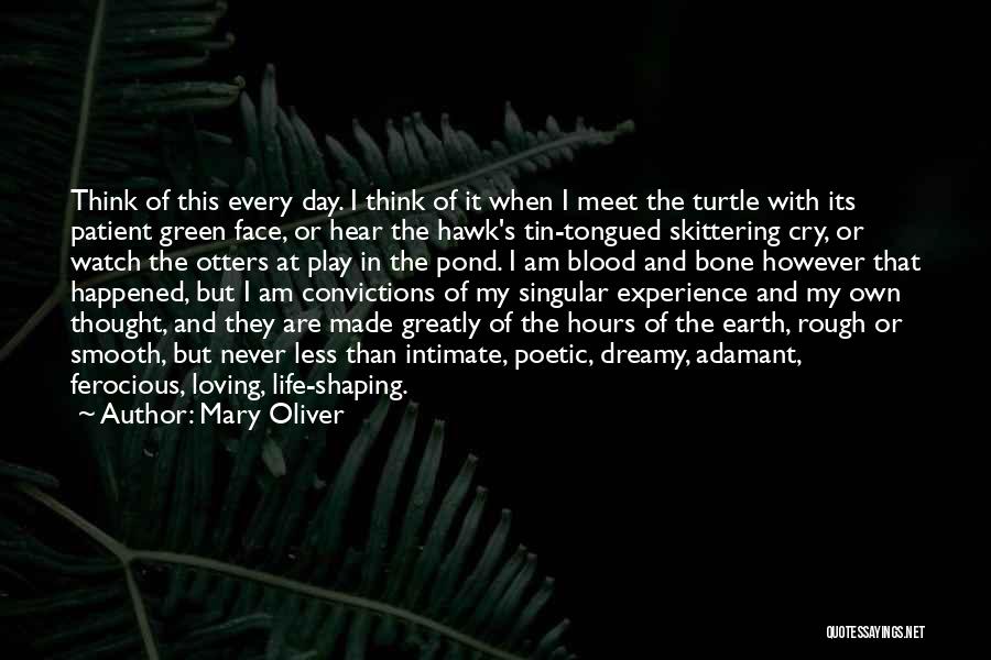 Mary Oliver Quotes: Think Of This Every Day. I Think Of It When I Meet The Turtle With Its Patient Green Face, Or