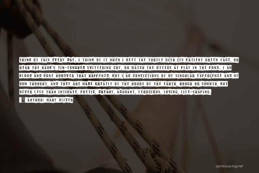 Mary Oliver Quotes: Think Of This Every Day. I Think Of It When I Meet The Turtle With Its Patient Green Face, Or