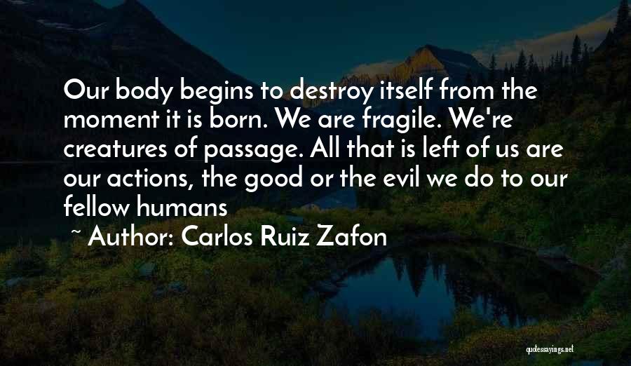 Carlos Ruiz Zafon Quotes: Our Body Begins To Destroy Itself From The Moment It Is Born. We Are Fragile. We're Creatures Of Passage. All