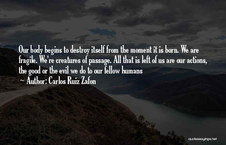 Carlos Ruiz Zafon Quotes: Our Body Begins To Destroy Itself From The Moment It Is Born. We Are Fragile. We're Creatures Of Passage. All