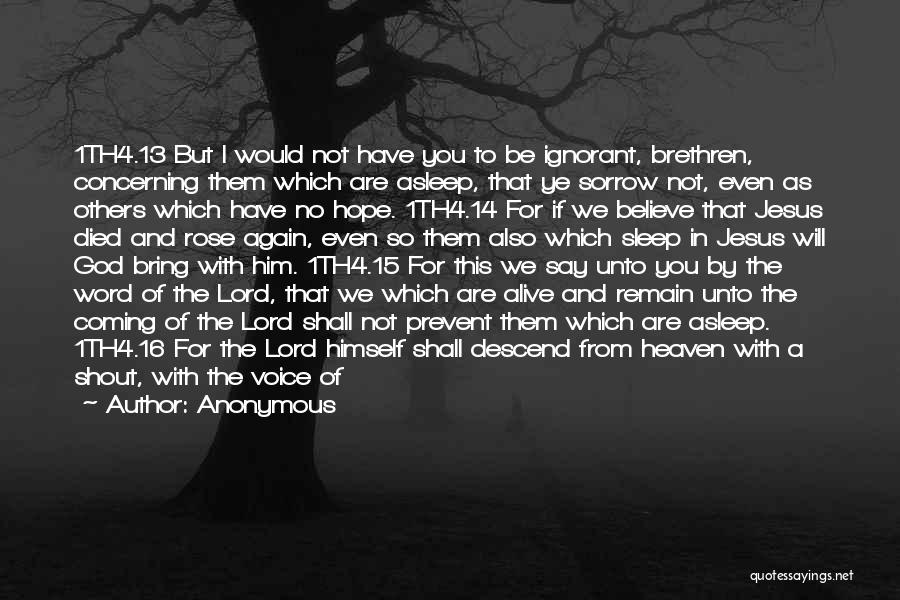 Anonymous Quotes: 1th4.13 But I Would Not Have You To Be Ignorant, Brethren, Concerning Them Which Are Asleep, That Ye Sorrow Not,