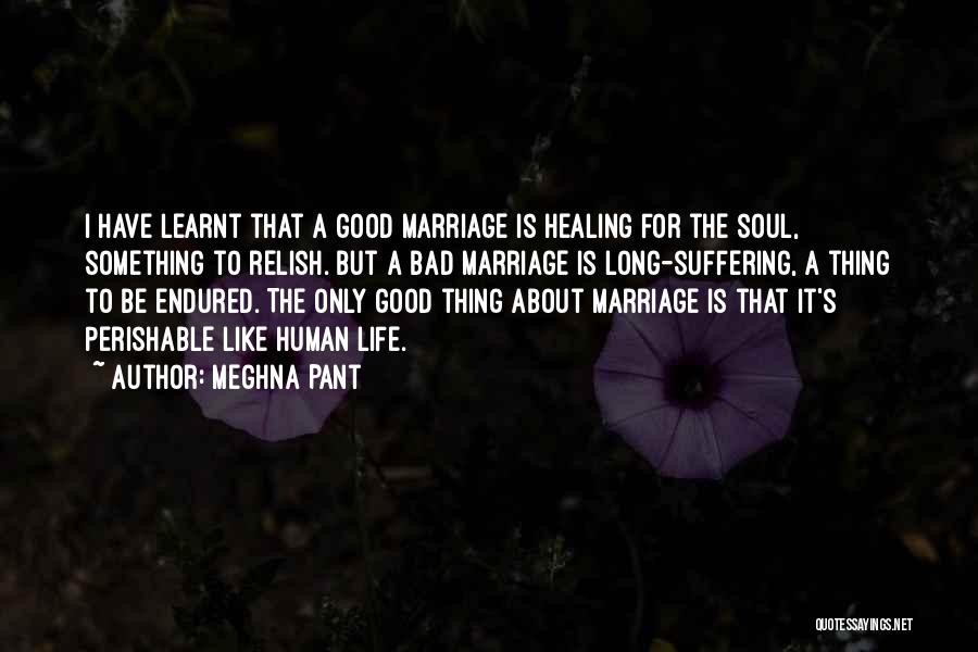 Meghna Pant Quotes: I Have Learnt That A Good Marriage Is Healing For The Soul, Something To Relish. But A Bad Marriage Is