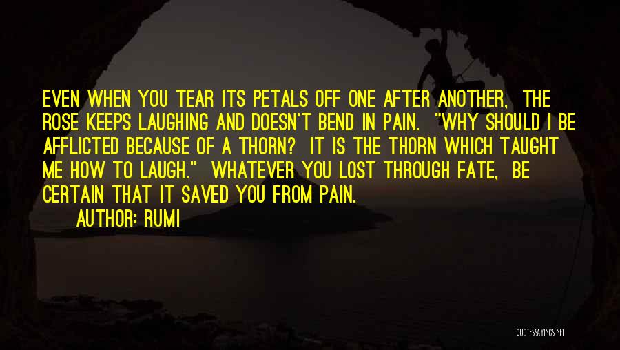 Rumi Quotes: Even When You Tear Its Petals Off One After Another, The Rose Keeps Laughing And Doesn't Bend In Pain. Why