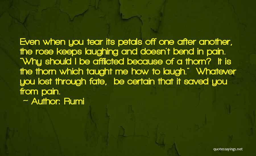 Rumi Quotes: Even When You Tear Its Petals Off One After Another, The Rose Keeps Laughing And Doesn't Bend In Pain. Why