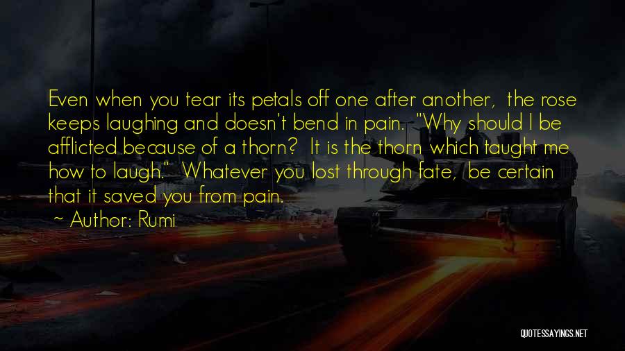 Rumi Quotes: Even When You Tear Its Petals Off One After Another, The Rose Keeps Laughing And Doesn't Bend In Pain. Why