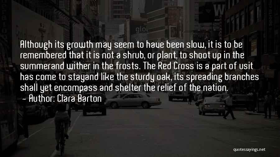 Clara Barton Quotes: Although Its Growth May Seem To Have Been Slow, It Is To Be Remembered That It Is Not A Shrub,