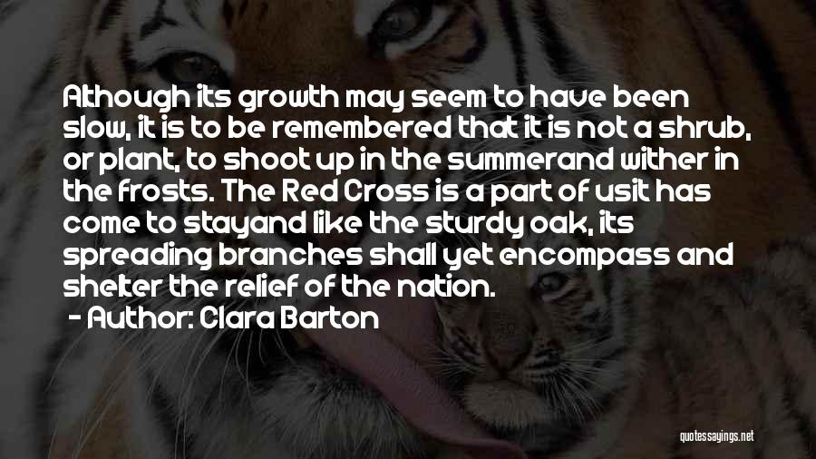 Clara Barton Quotes: Although Its Growth May Seem To Have Been Slow, It Is To Be Remembered That It Is Not A Shrub,