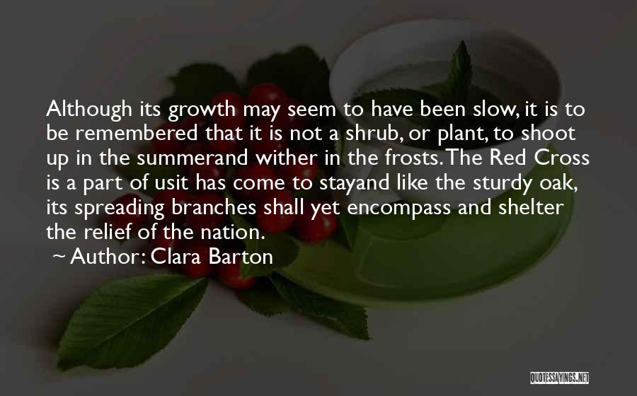 Clara Barton Quotes: Although Its Growth May Seem To Have Been Slow, It Is To Be Remembered That It Is Not A Shrub,