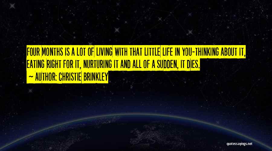 Christie Brinkley Quotes: Four Months Is A Lot Of Living With That Little Life In You-thinking About It, Eating Right For It, Nurturing