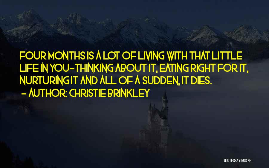 Christie Brinkley Quotes: Four Months Is A Lot Of Living With That Little Life In You-thinking About It, Eating Right For It, Nurturing