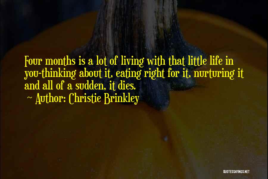 Christie Brinkley Quotes: Four Months Is A Lot Of Living With That Little Life In You-thinking About It, Eating Right For It, Nurturing