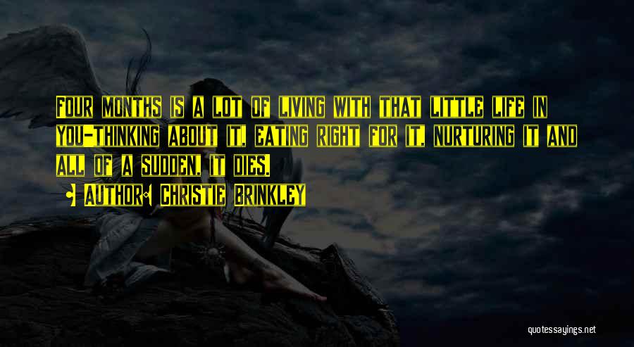 Christie Brinkley Quotes: Four Months Is A Lot Of Living With That Little Life In You-thinking About It, Eating Right For It, Nurturing
