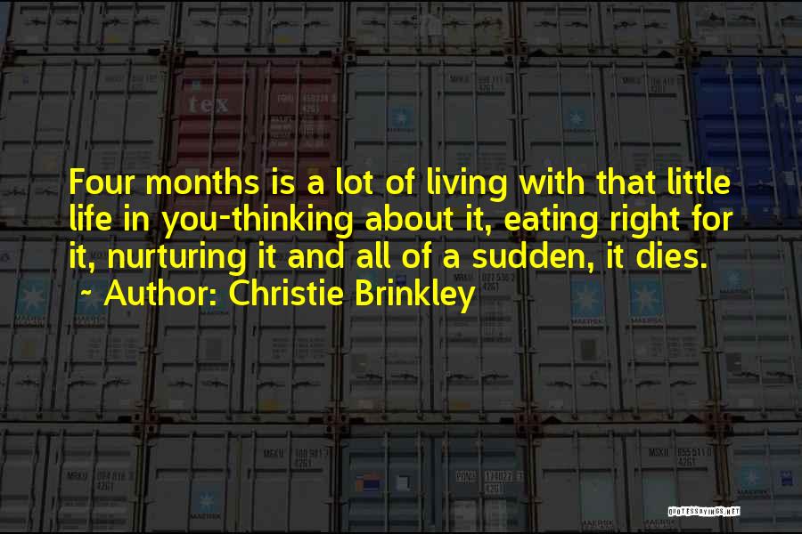 Christie Brinkley Quotes: Four Months Is A Lot Of Living With That Little Life In You-thinking About It, Eating Right For It, Nurturing