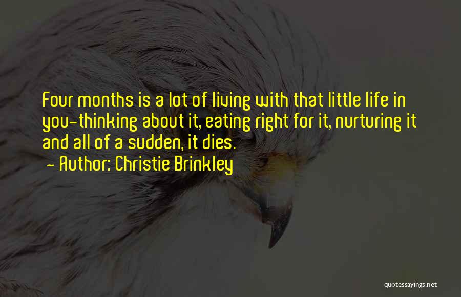 Christie Brinkley Quotes: Four Months Is A Lot Of Living With That Little Life In You-thinking About It, Eating Right For It, Nurturing
