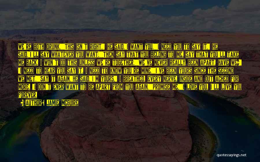 Jamie McGuire Quotes: We're Both Drunk,this Isn't Right, He Said.i Want You.i Need You To Say It, He Said.i'll Say Whatever You Want.then